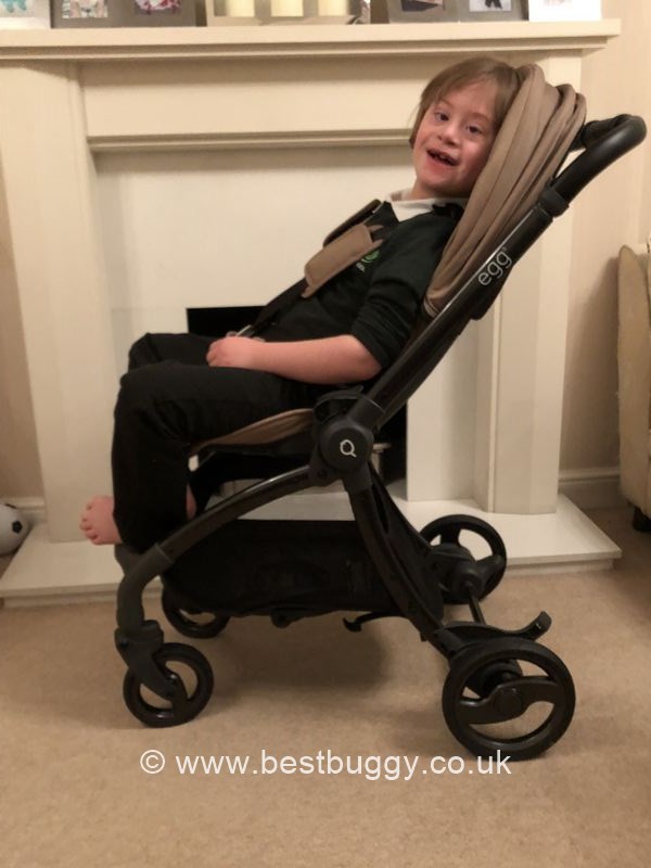 egg quail pram review